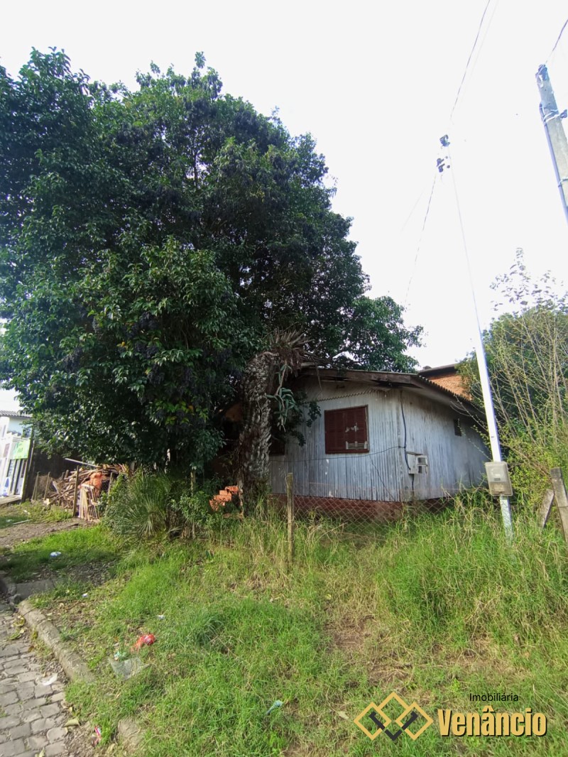 Imagem Destaque 2