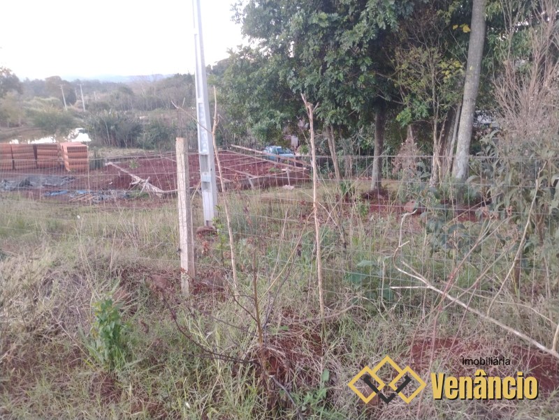 Imagem Destaque 2