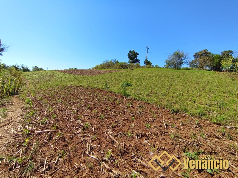 Imagem Destaque 11