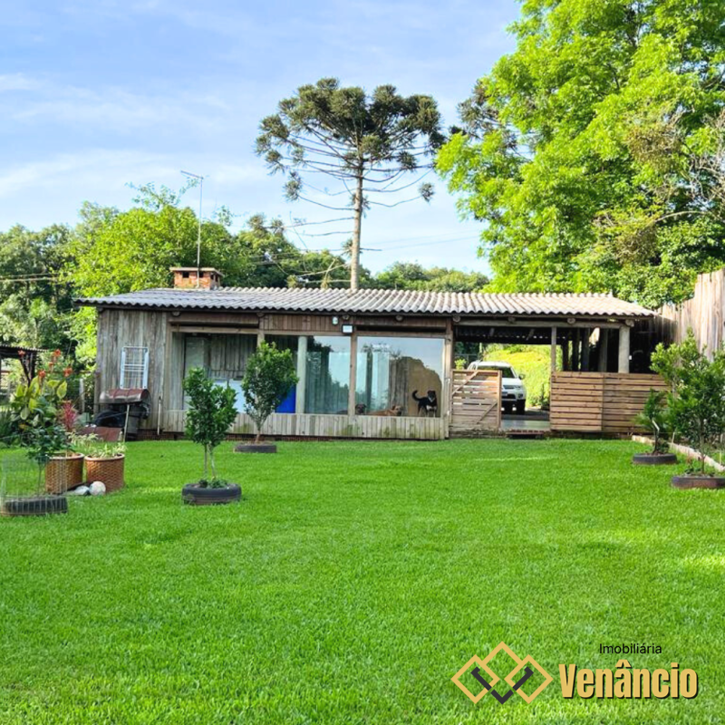 Imagem Destaque 1