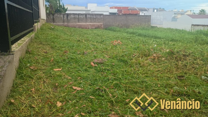 Imagem Destaque 2