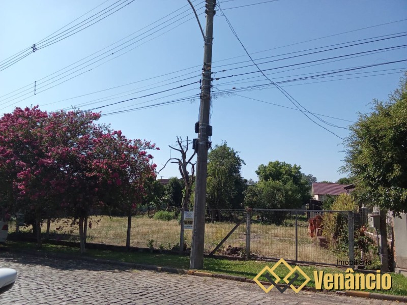 Imagem Destaque 1