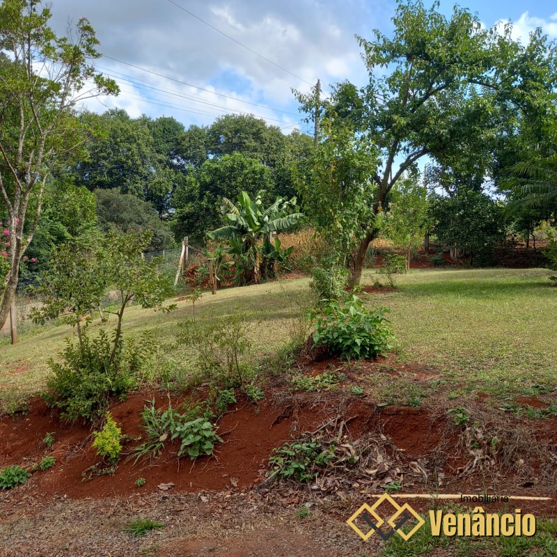 Imagem Destaque 11