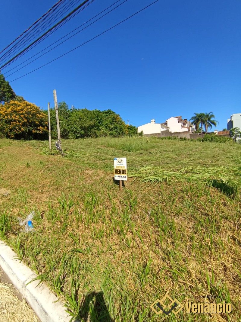 Imagem Destaque 1