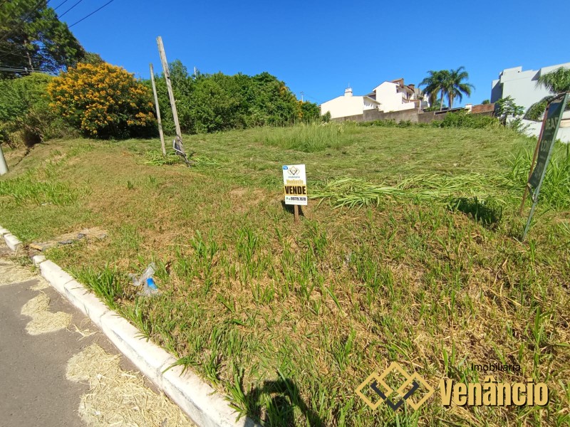 Imagem Destaque 2