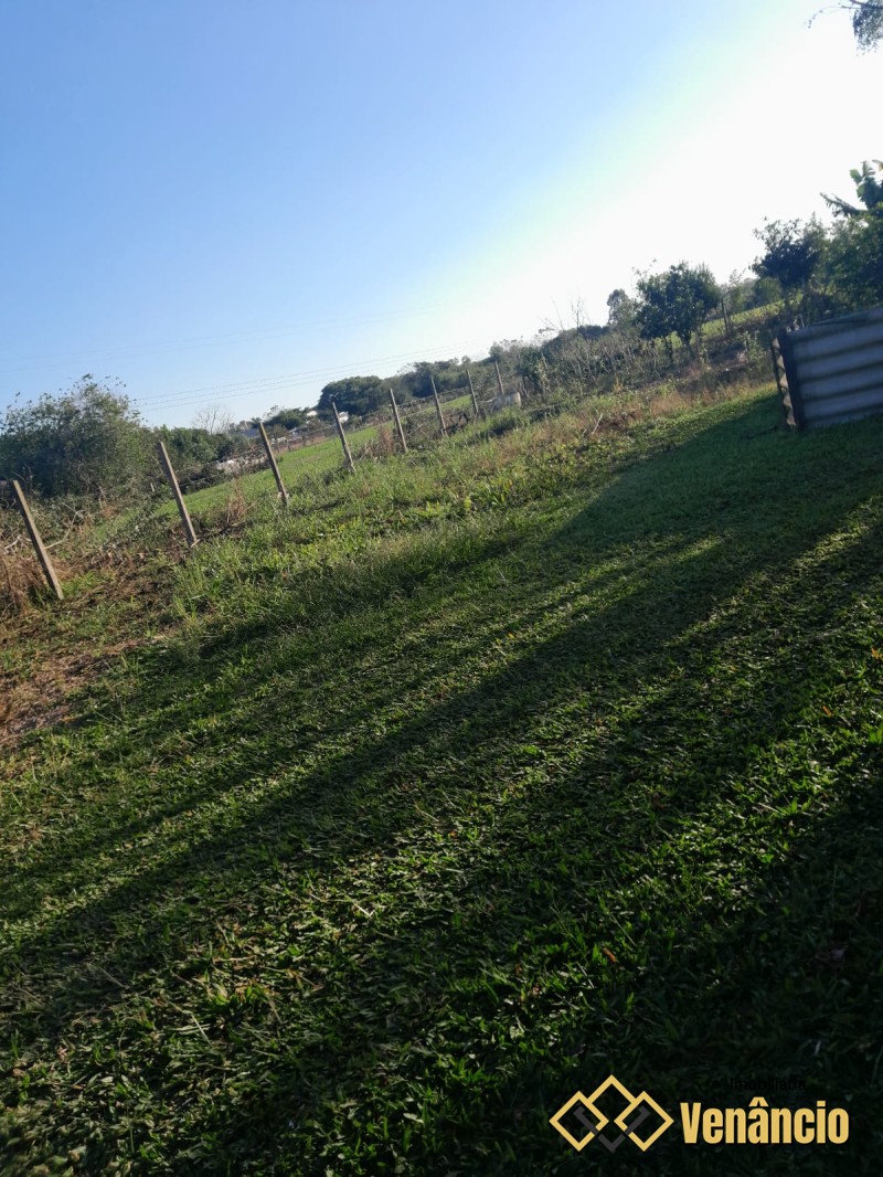 Imagem Destaque 1