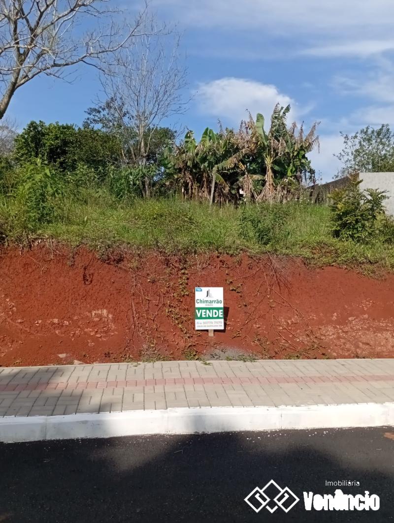 Imagem Destaque 3