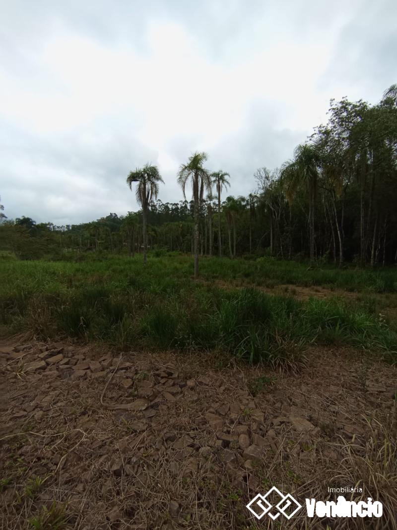 Imagem Destaque 10