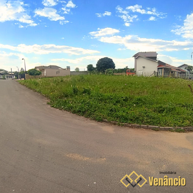 Imagem Destaque 1