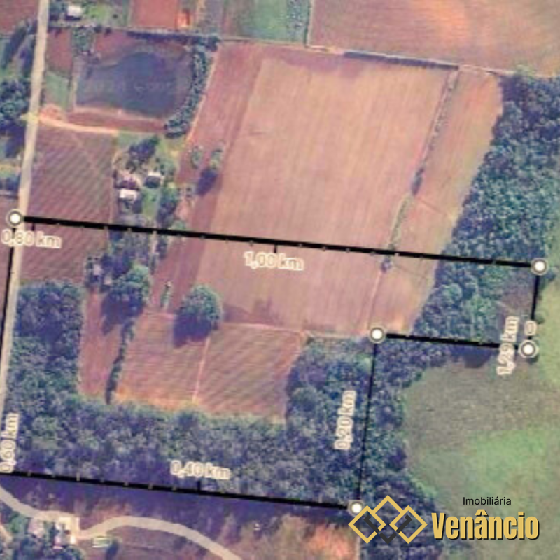 Imagem Destaque 1
