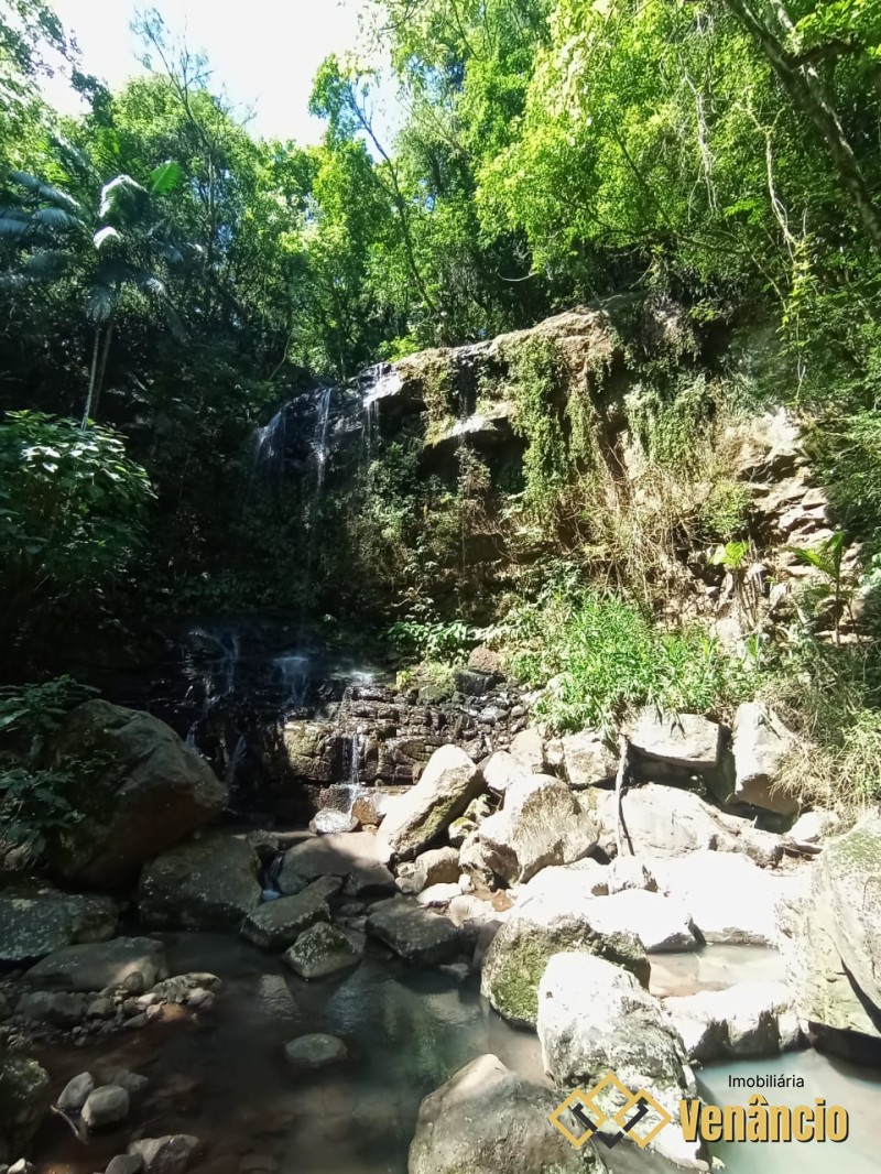 Imagem Destaque 1