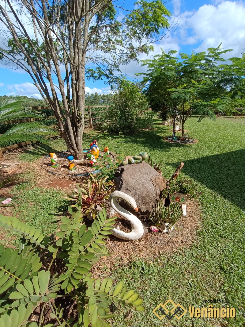 Imagem Destaque 10