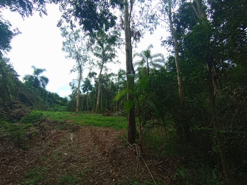 Imagem Destaque 2