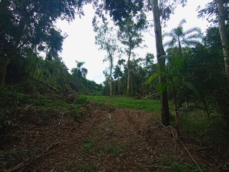 Imagem Destaque 3