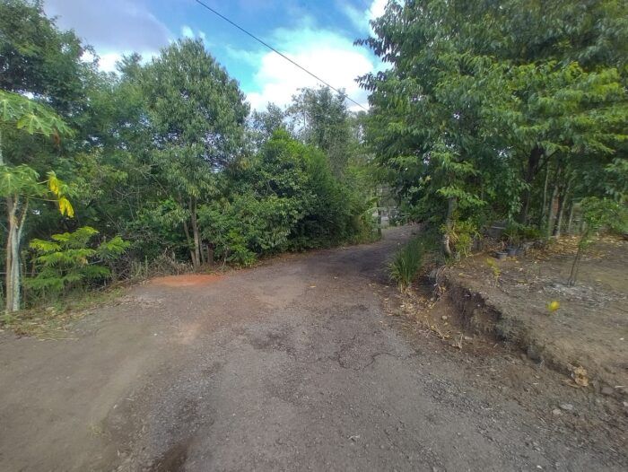 Imagem Destaque 2