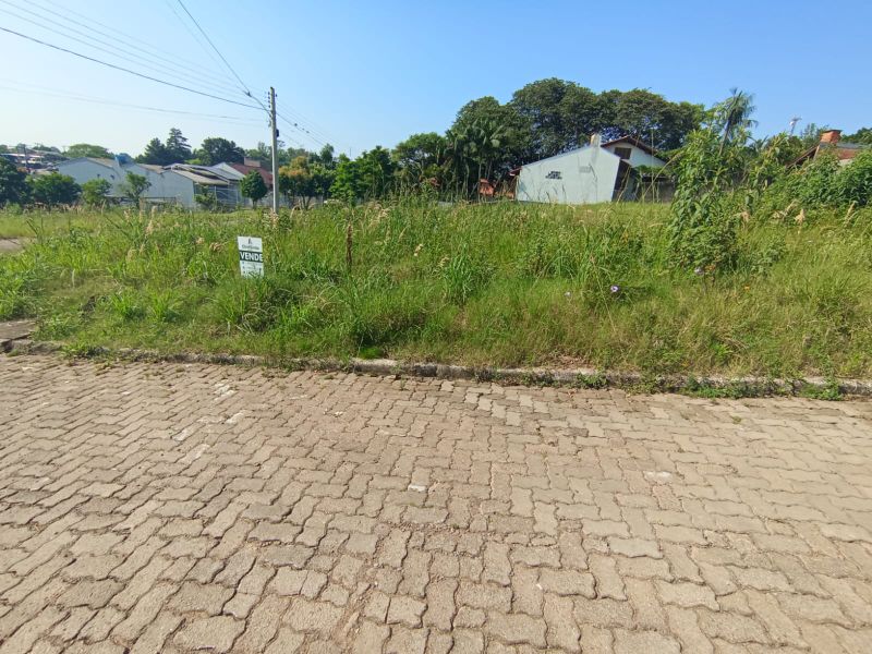 Imagem Destaque 1