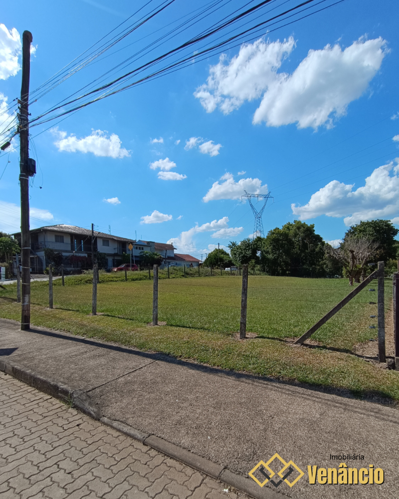 Imagem Destaque 1