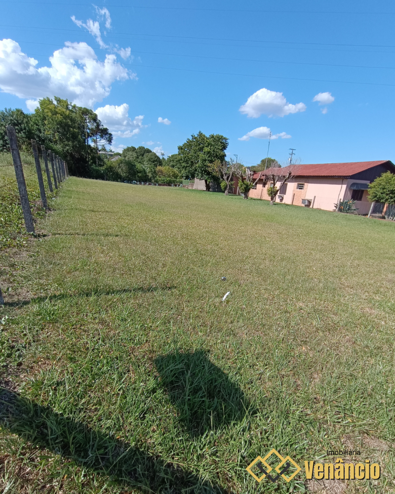 Imagem Destaque 2