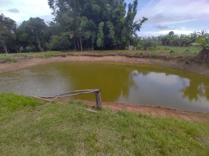 Imagem Destaque 11