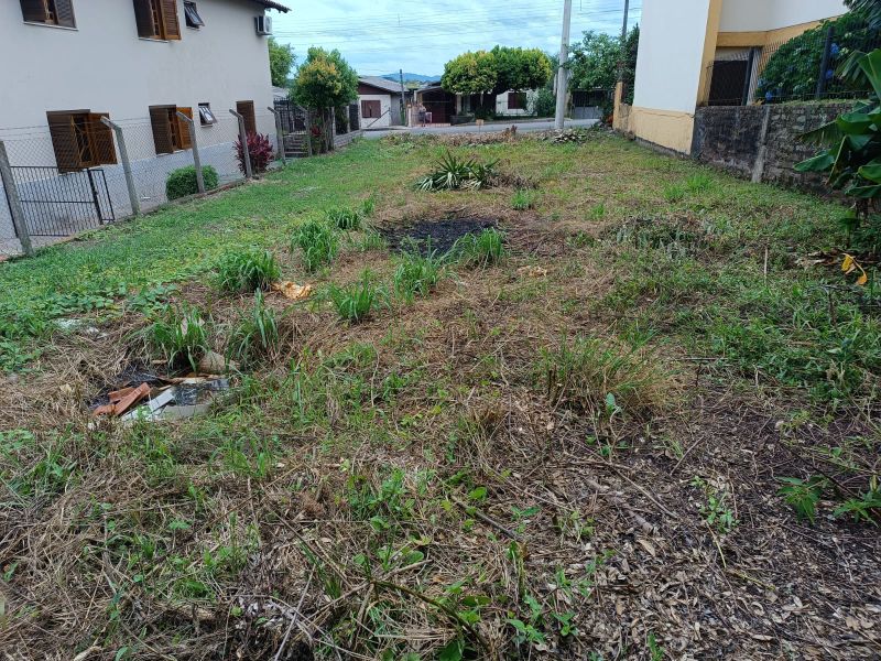 Imagem Destaque 1