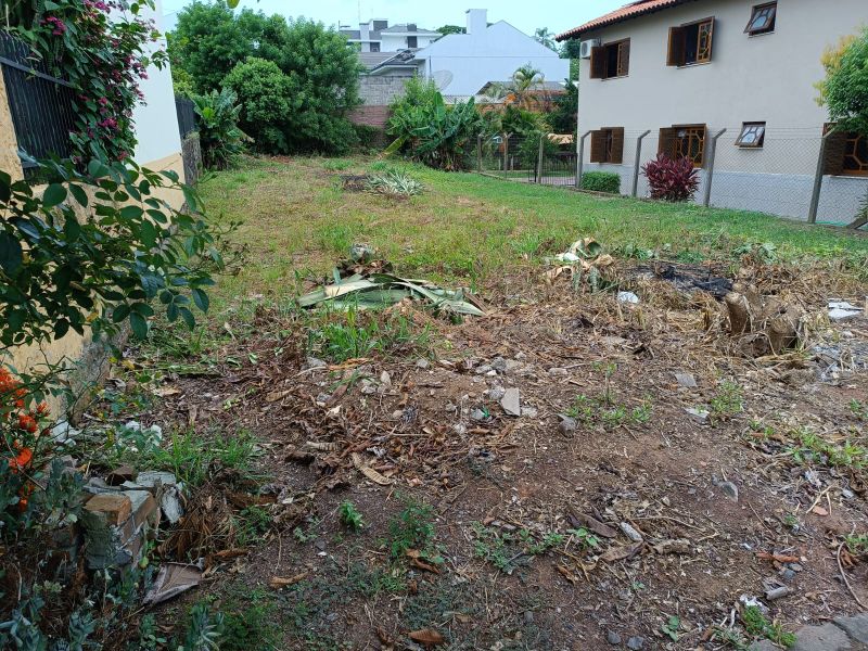 Imagem Destaque 2