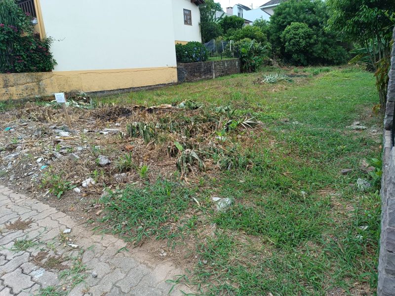 Imagem Destaque 3