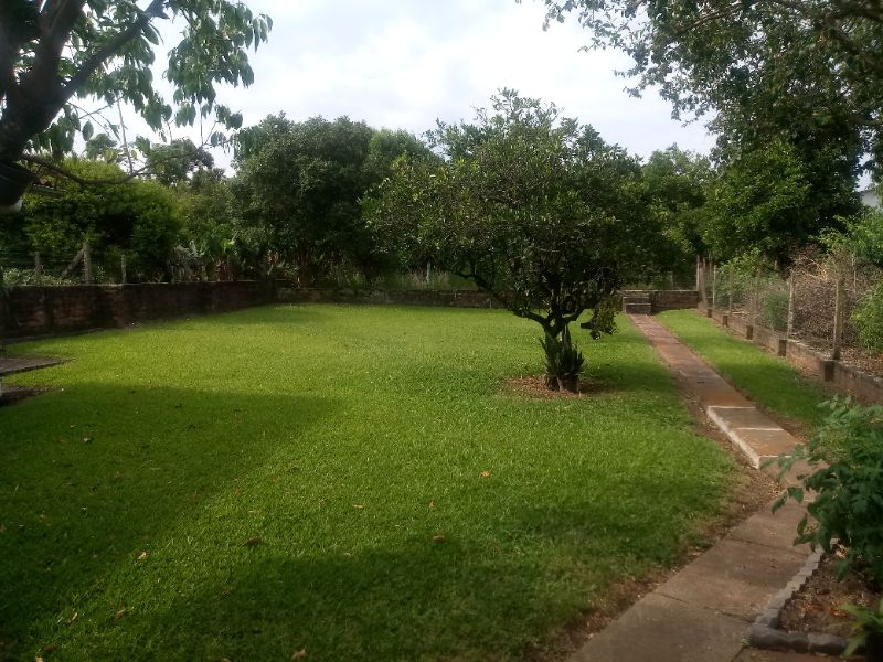 Imagem Destaque 3
