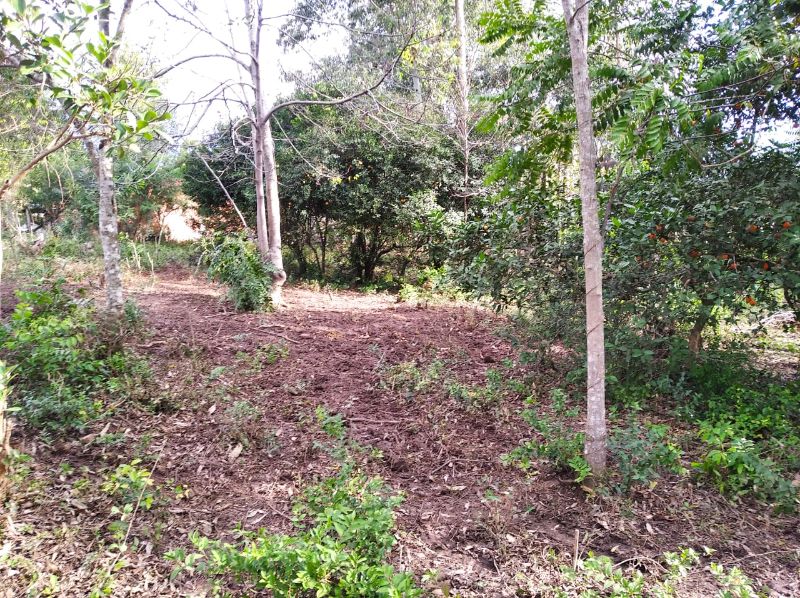 Imagem Destaque 1