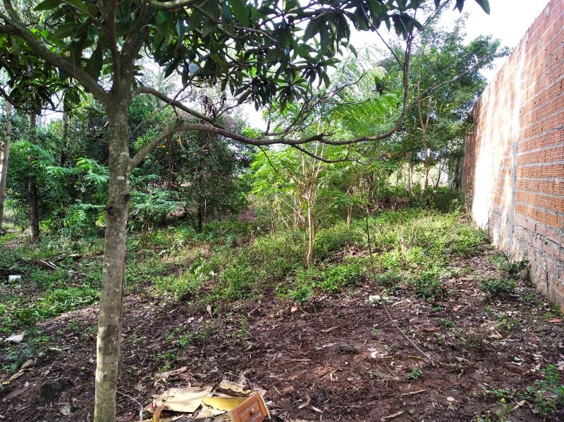 Imagem Destaque 10