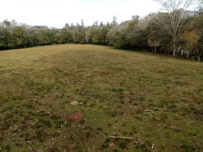 Imagem Destaque 1