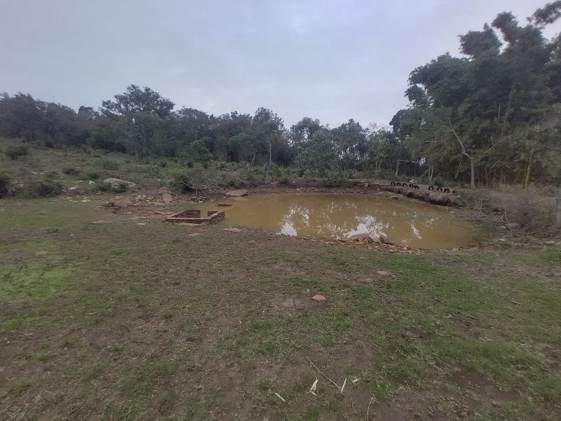 Imagem Destaque 1