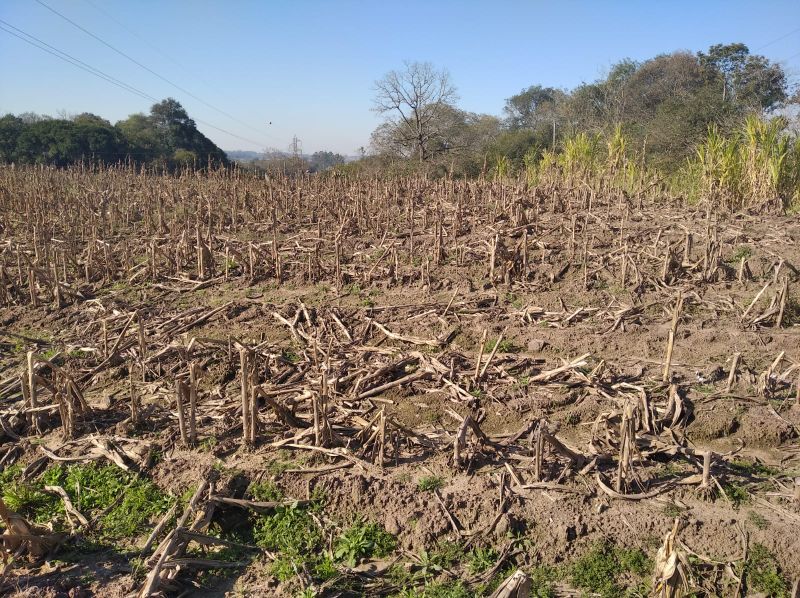 Imagem Destaque 3