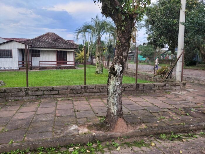 Imagem Destaque 1