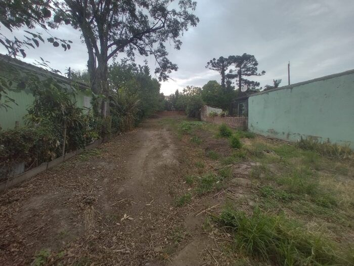Imagem Destaque 1
