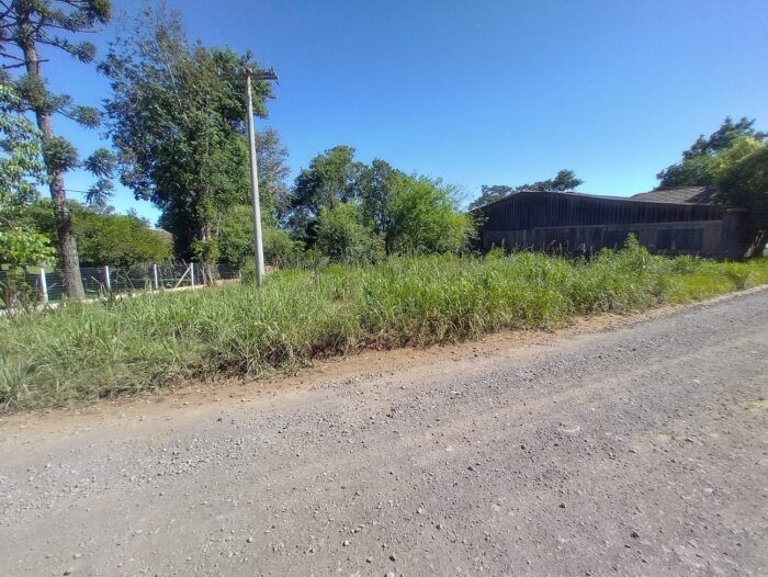 Imagem Destaque 1