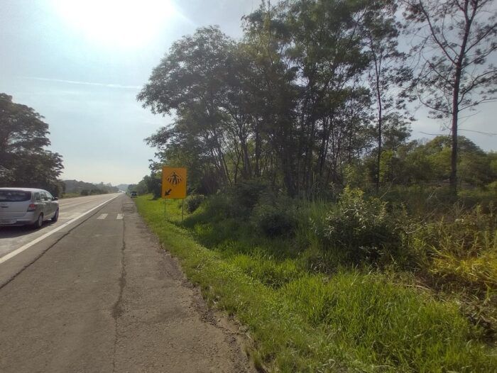 Imagem Destaque 2