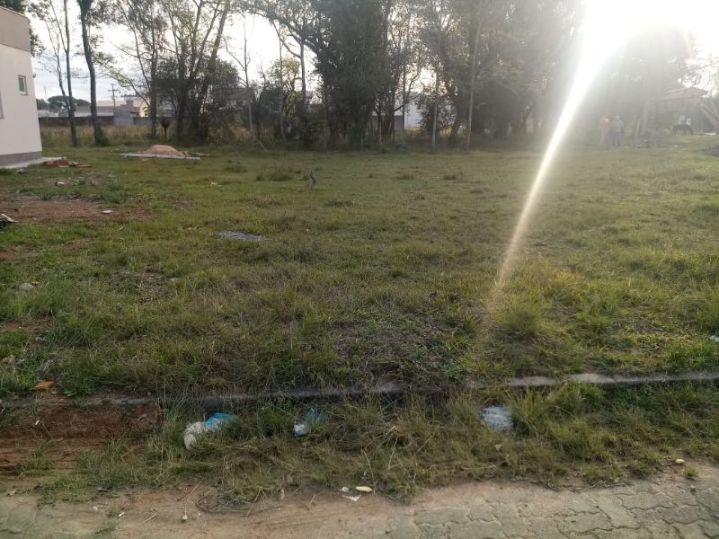 Imagem Destaque 1