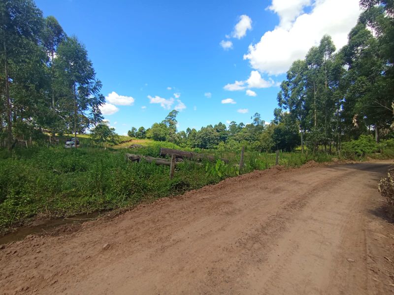 Imagem Destaque 2