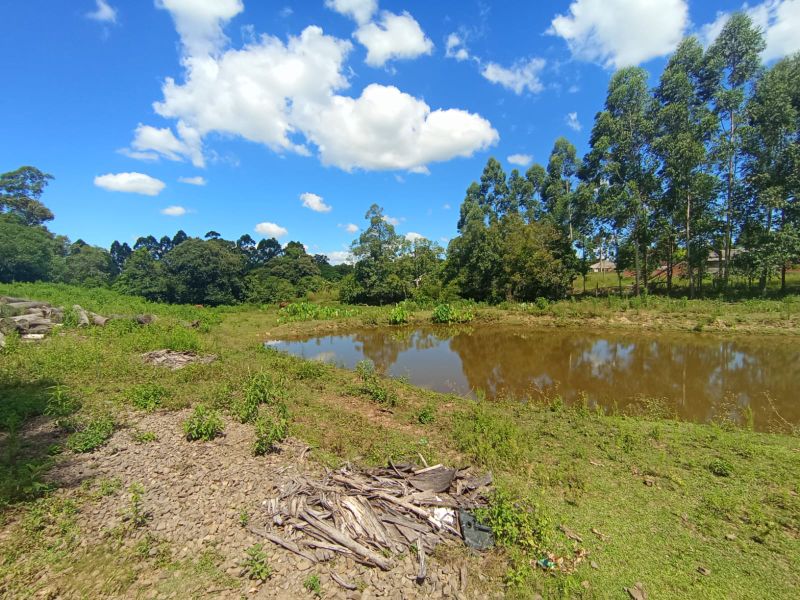 Imagem Destaque 3