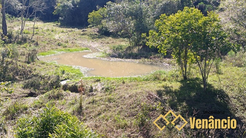 Imagem Destaque 1