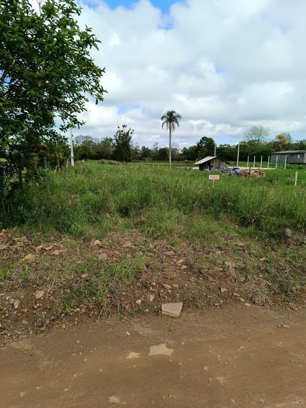 Imagem Destaque 11