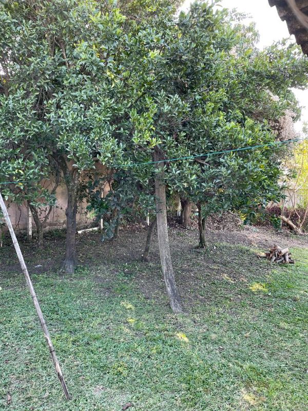 Imagem Destaque 3