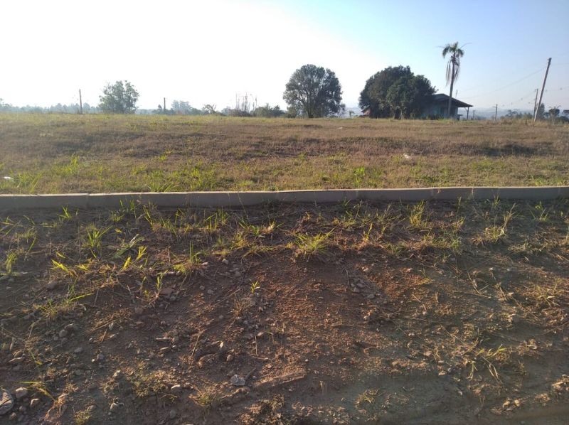 Imagem Destaque 1